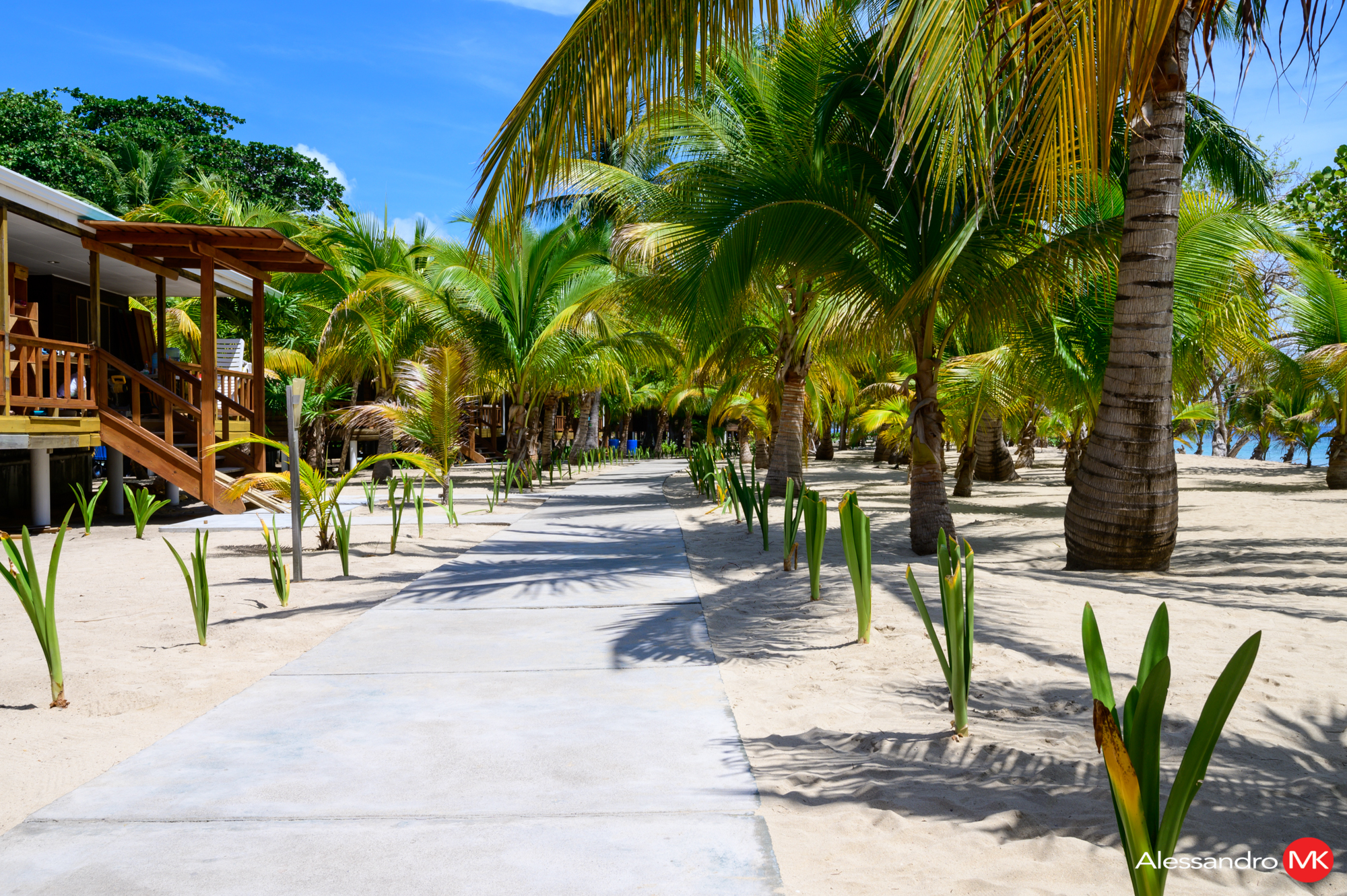 CayosCochinos-3