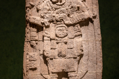AMZ_2476.jpg
