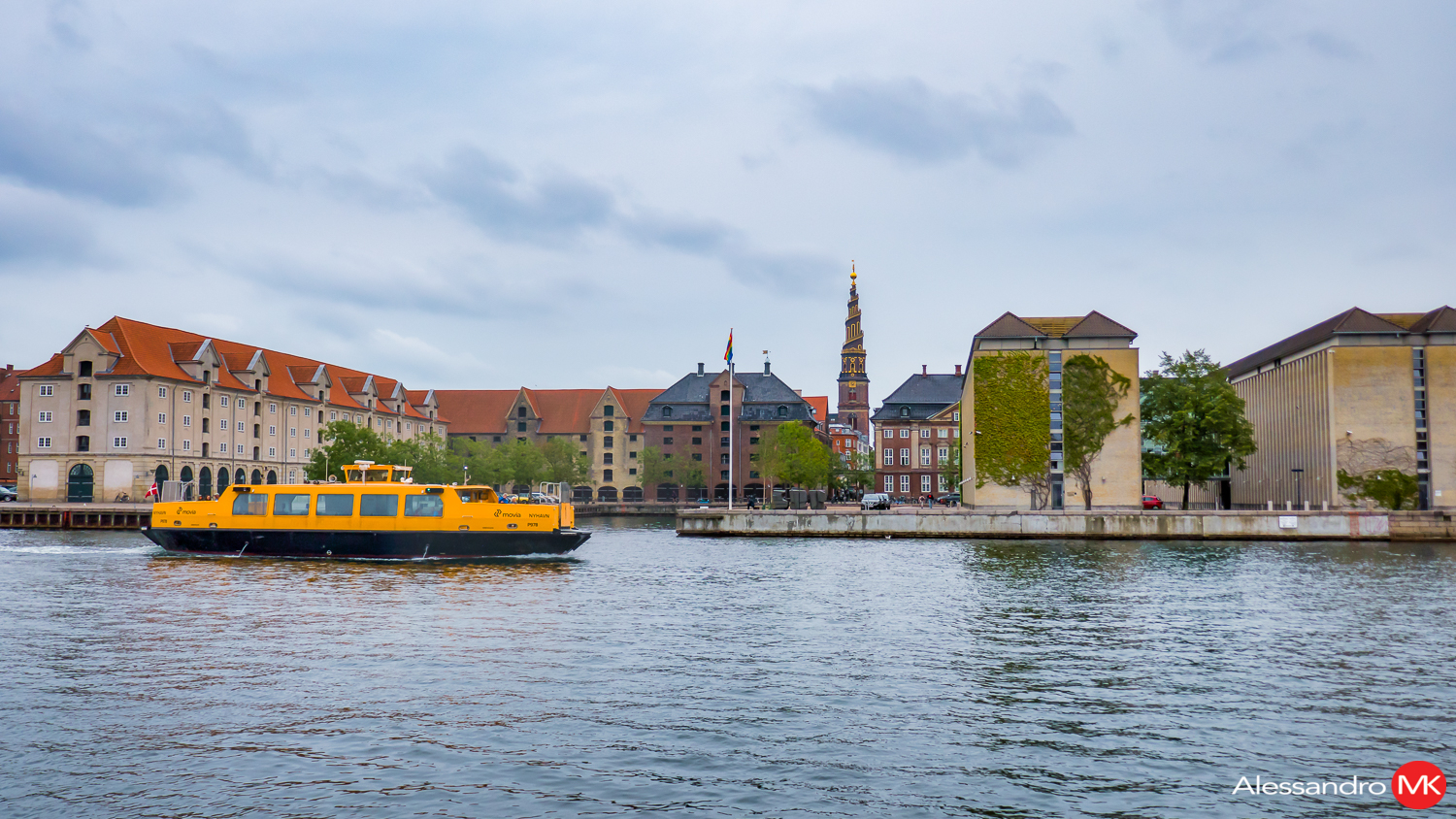 P1010492-Edit.jpg