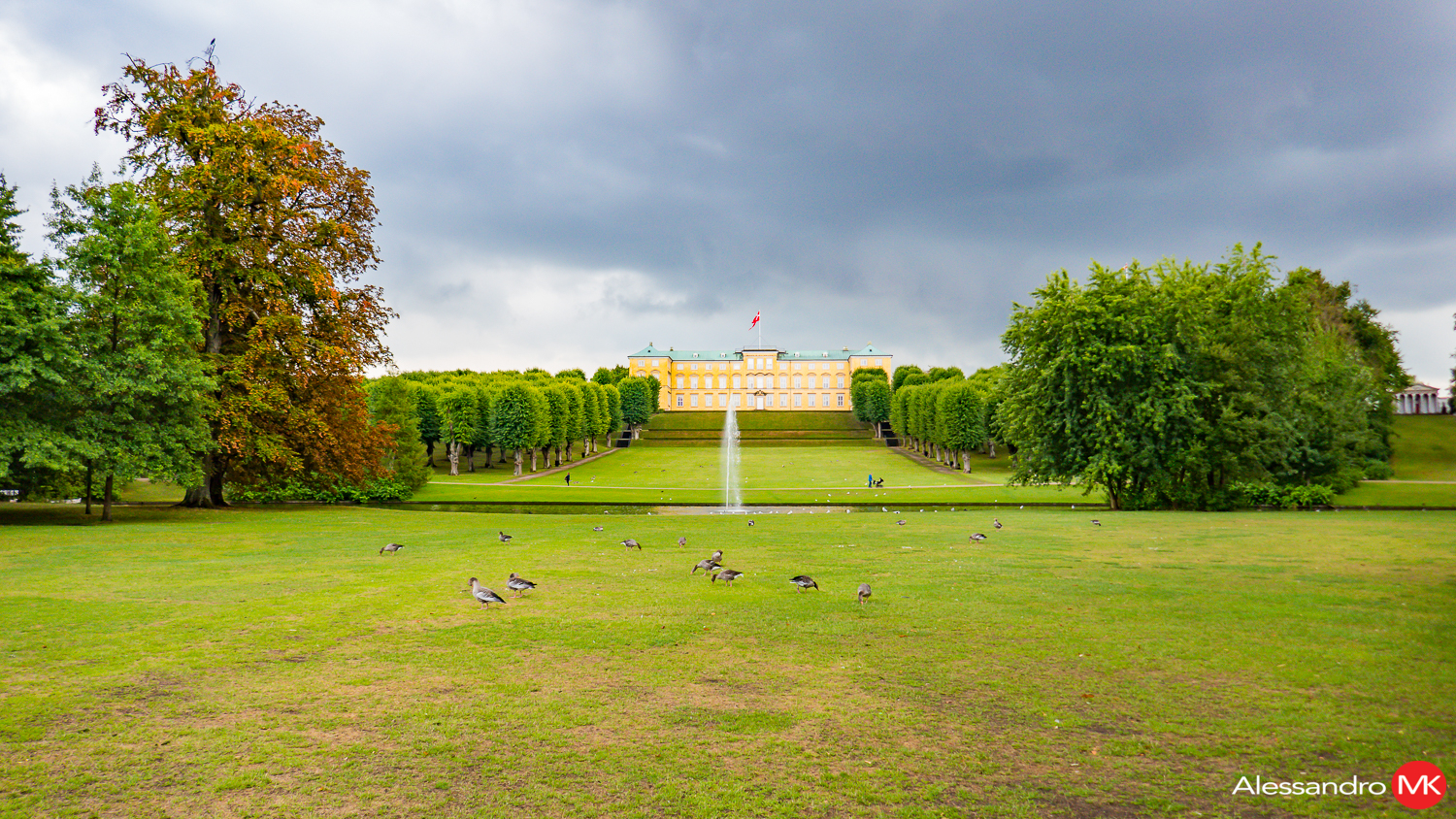 P1010677.jpg
