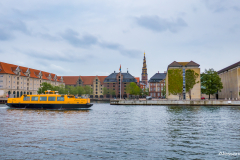 P1010492-Edit.jpg