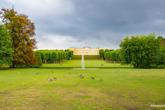 P1010677.jpg