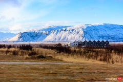 20170131-43