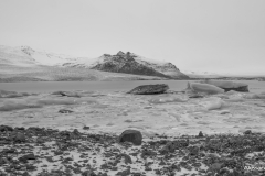 20170131-79