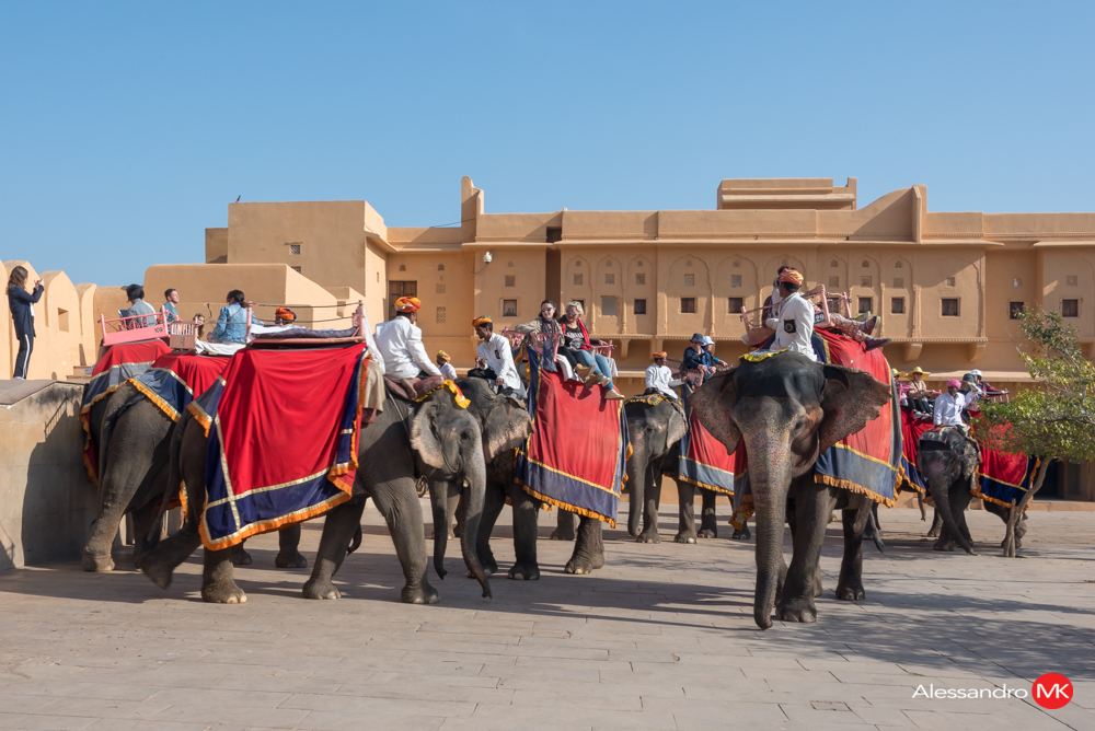 Jaipur-11