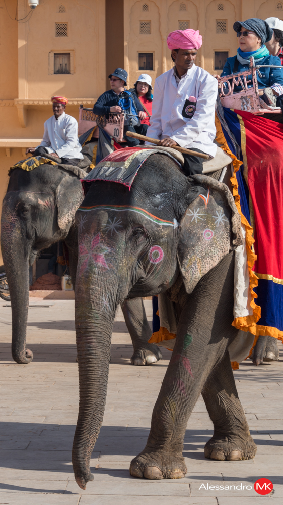 Jaipur-12