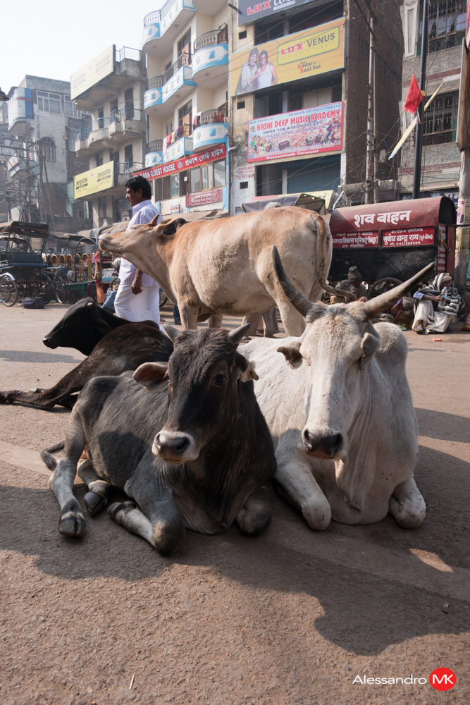 Varanasi-10