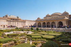 Jaipur-14