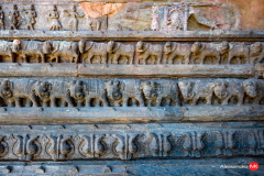 Jaipur-19