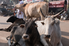 Varanasi-10