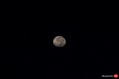 20170131-4