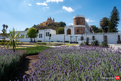 Puebla-7.jpg