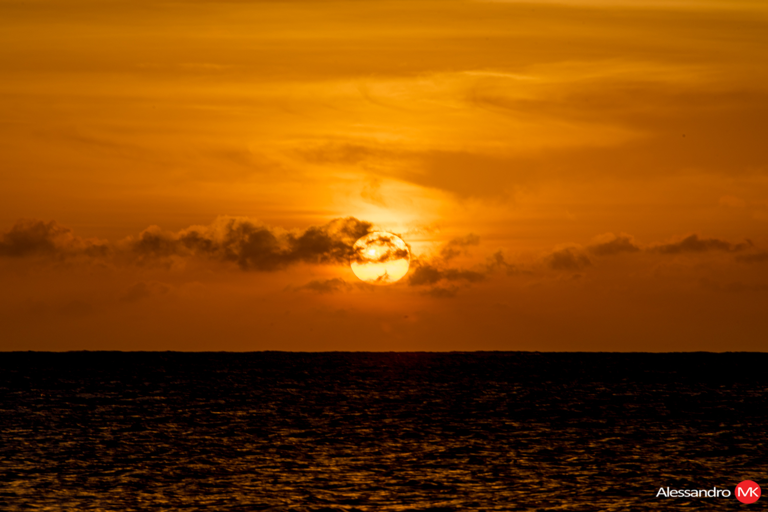 20170131-30.jpg