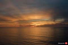 20170131-9.jpg